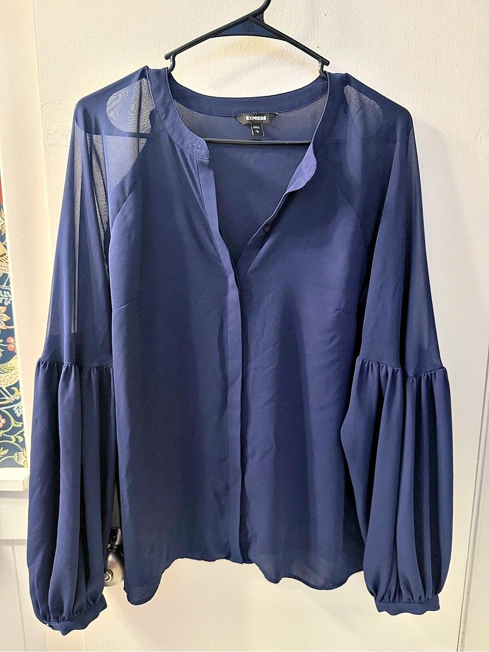 Express Sheer Sleeve Blouse in Blue Like New